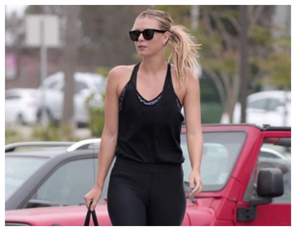 莎拉波娃简介 莎拉波娃简介