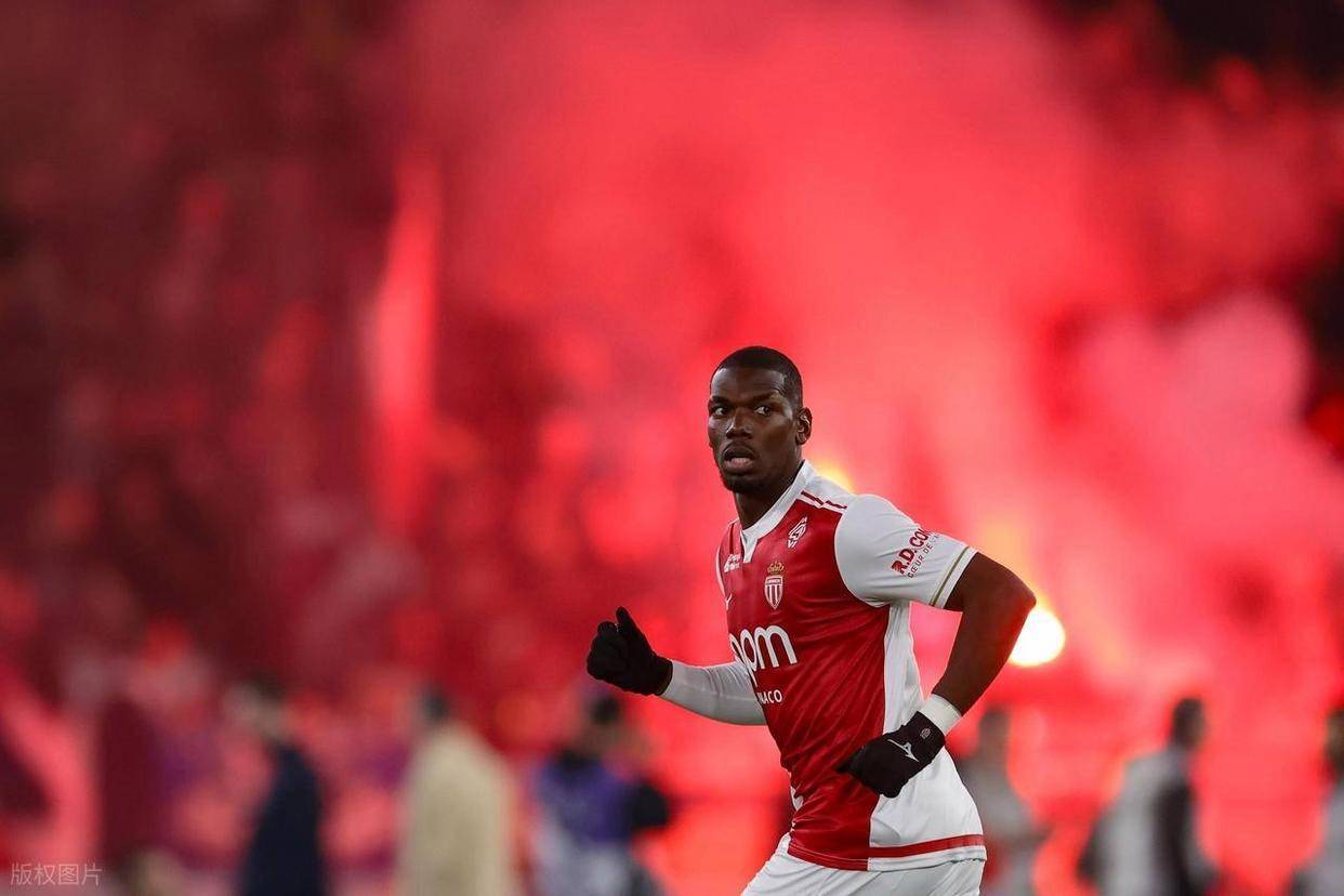  一鸽胜九鸡的真正原因 